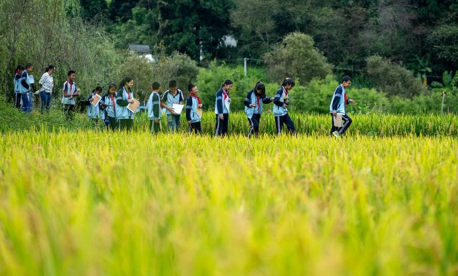 นักเรียนในยูนนานกว่า 120 ราย ฟื้นตัวดีหลังติดเชื้อ 'โนโรไวรัส