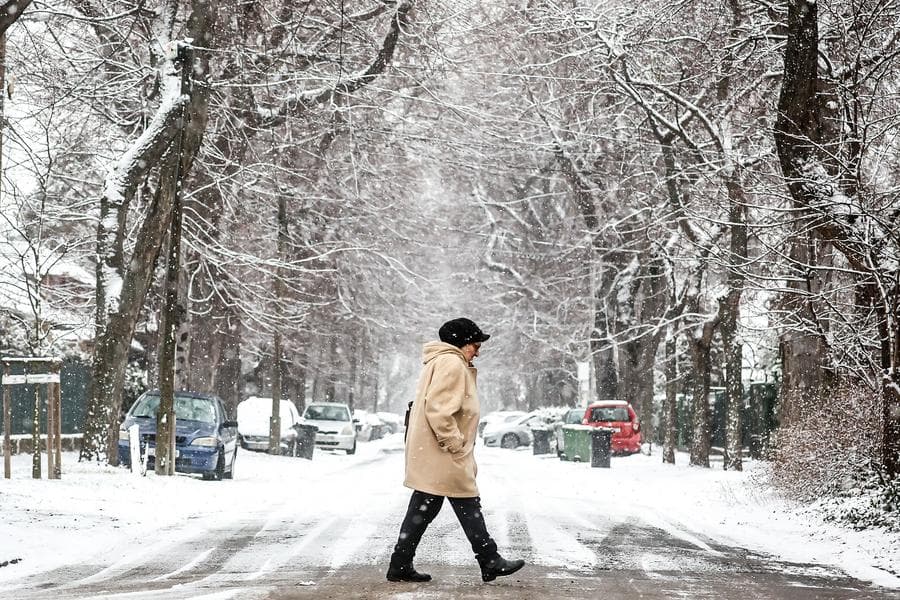 ผู้คนออกใช้ชีวิตกลางหิมะในฮังการี