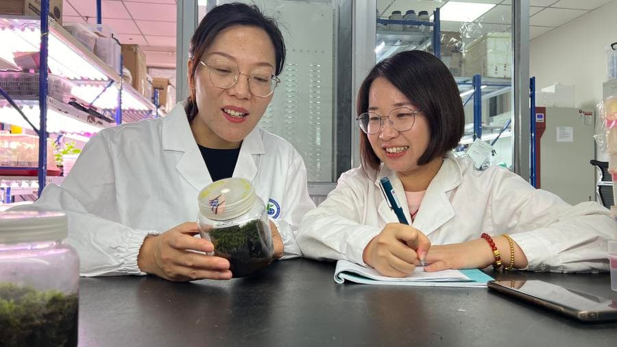 นักวิทย์จีนถอดรหัสกลไกทนทานความเย็นของ 'มอสส์ทะเลทราย