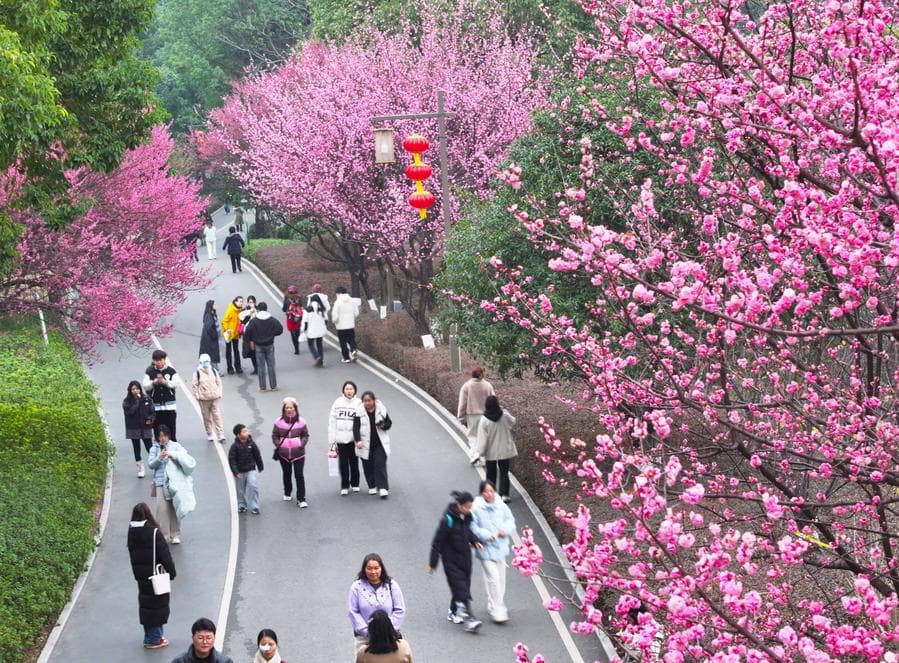 ดอกไม้ผลิบาน นกน้อยบินร้อง ต้อนรับวสันตฤดู