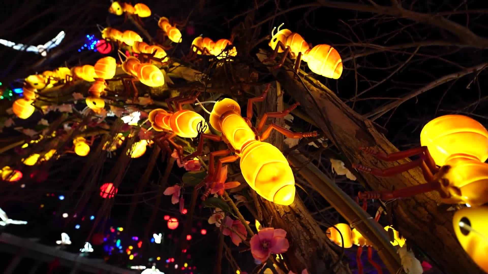 โคมไฟแมลงน้อยใหญ่ทั่วเนินเขา ฉลองเทศกาล 'หยวนเซียว' ในซานซี