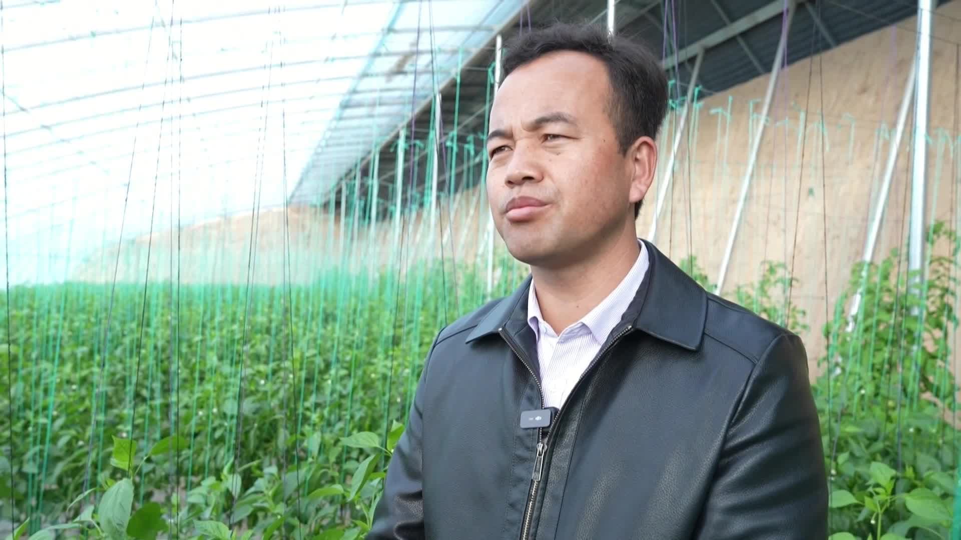 โรงเรือนกระจกสมัยใหม่ เพิ่มรายได้ชาวบ้านในจีน