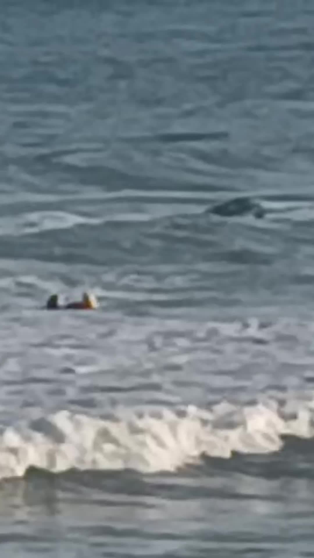 หุ่นยนต์ช่วยชีวิตนักท่องเที่ยวพ้นจมน้ำในไหหลำ