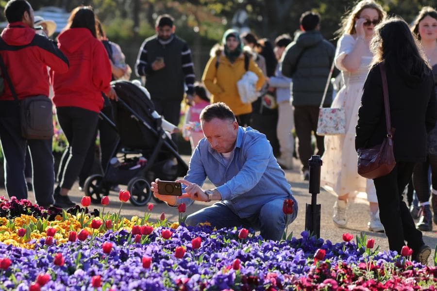 ออสเตรเลียวิจัยพบระบบ 'หัวใจ' แก่ขึ้น เสี่ยงป่วยโรคทางสมอง