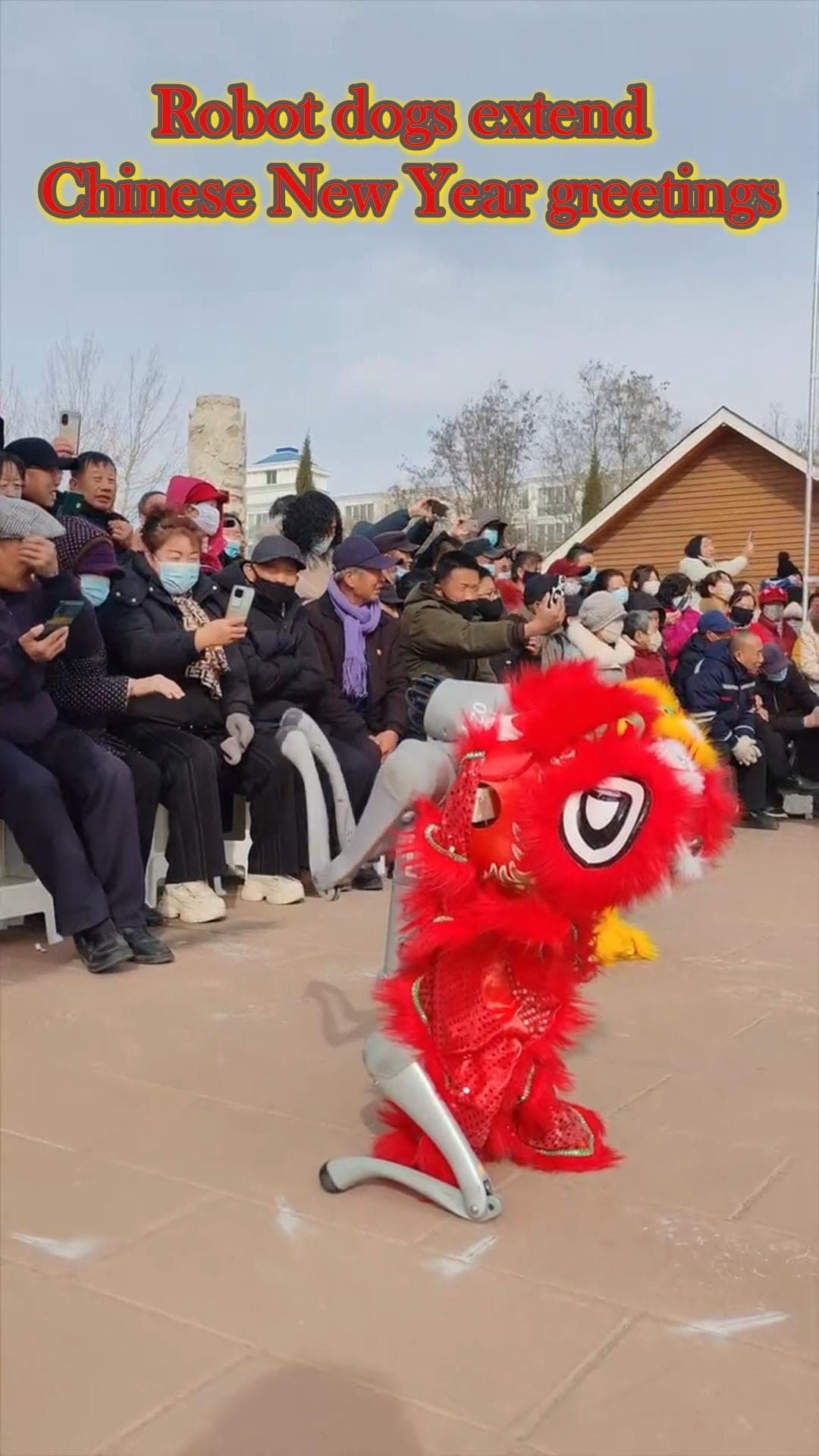 น่ารัก! หุ่นยนต์สุนัขเชิดสิงโตอวยพรตรุษจีนในหนิงเซี่ย