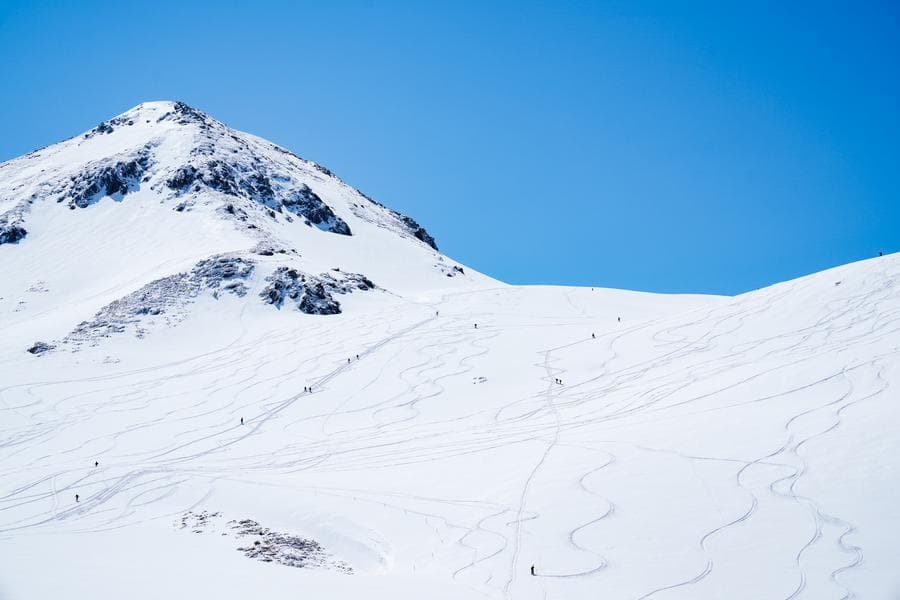 ญี่ปุ่นพบพนักงาน 3 รายกลายเป็นศพกลางหิมะบนภูเขา