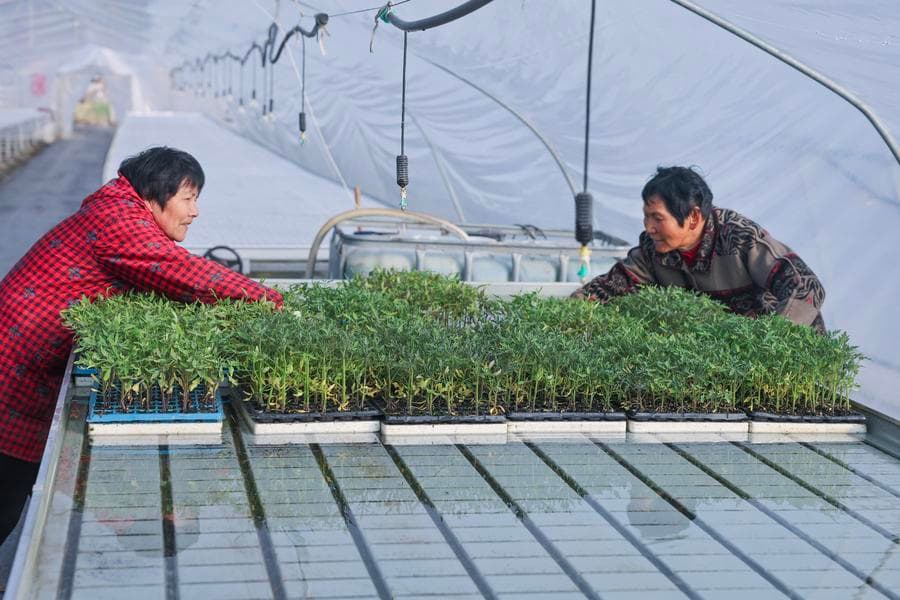 เกษตรกรเตรียมต้อนรับ 'ฤดูเพาะปลูก' ในเจ้อเจียง