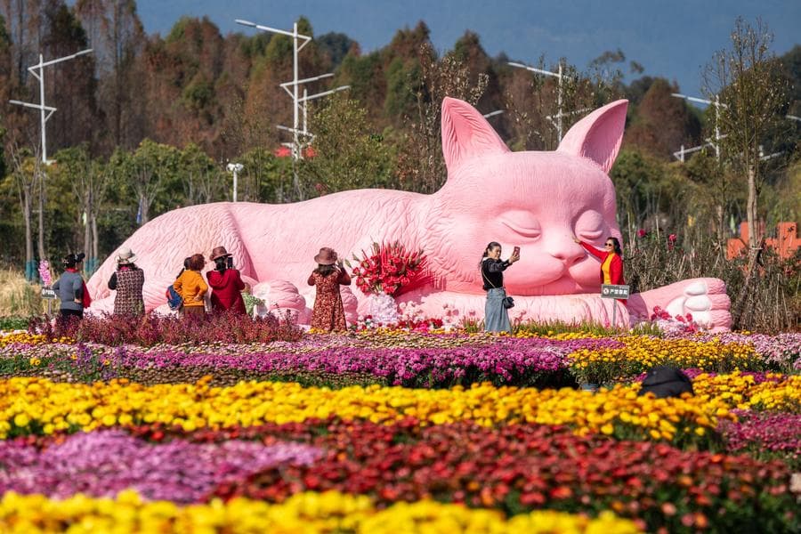 ชมมวลผกาแย้มบาน อวดสีสันงามรับฤดูใบไม้ผลิในยูนนาน