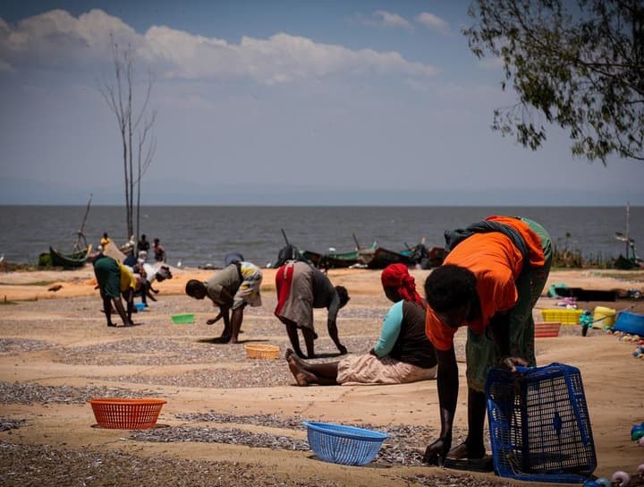 วิถีชีวิตชาวเมือง 'คีมูซู' ริมทะเลสาบงามในเคนยา