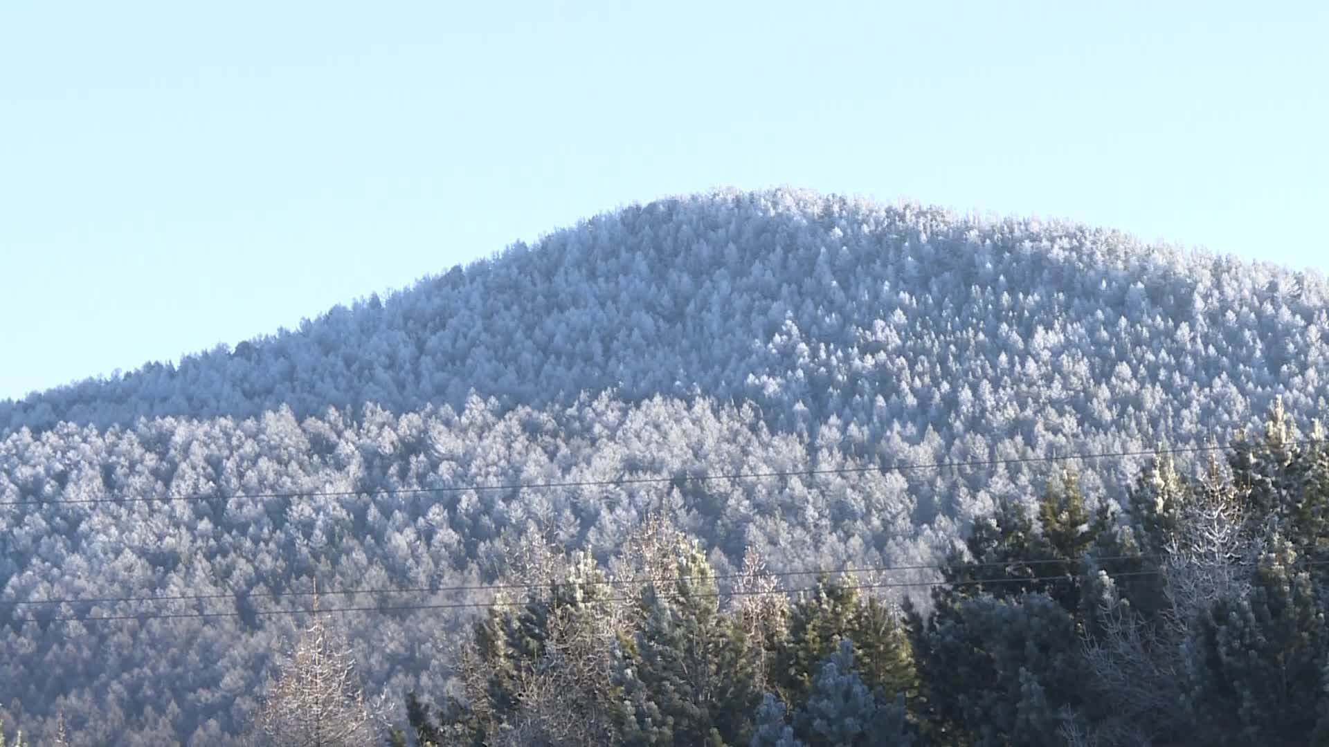 มองโกเลีย' เผชิญหิมะปกคลุมพื้นที่เกือบ 80%