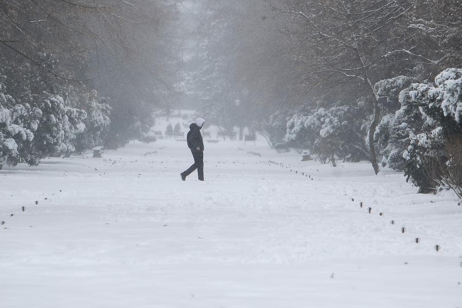 ผู้คนใช้ชีวิตกลางหิมะขาวในโรมาเนีย