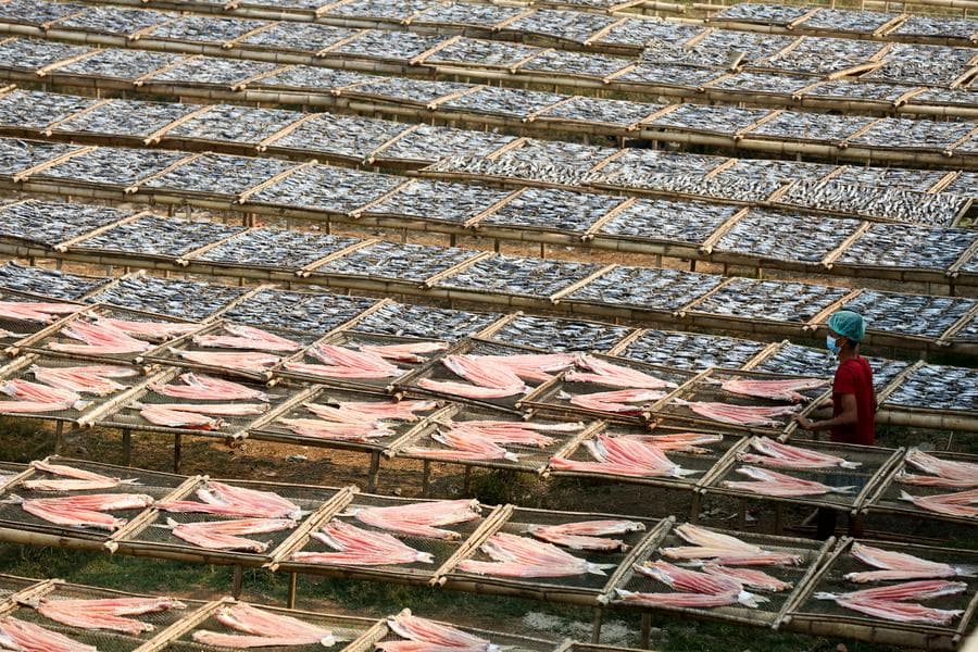 เมียนมากวาดรายได้ 'ส่งออกปลา' 342 ล้านดอลล์ใน 10 เดือน