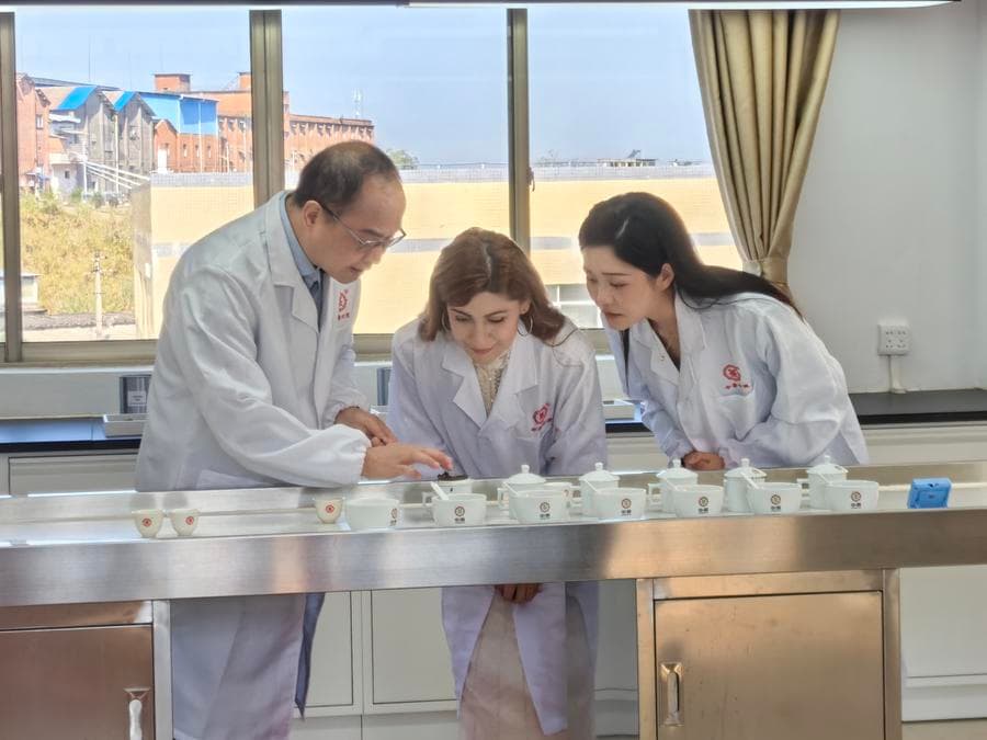 อินฟลูฯ สาวชาวตุรกี ดื่มด่ำ 'ชาลิ่วเป่า' หอมละมุนในกว่างซี