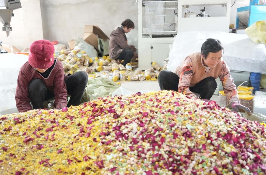 เศรษฐกิจสัตว์เลี้ยงหนุนจ้างงาน สร้างรายได้ให้ชาวบ้านชนบท