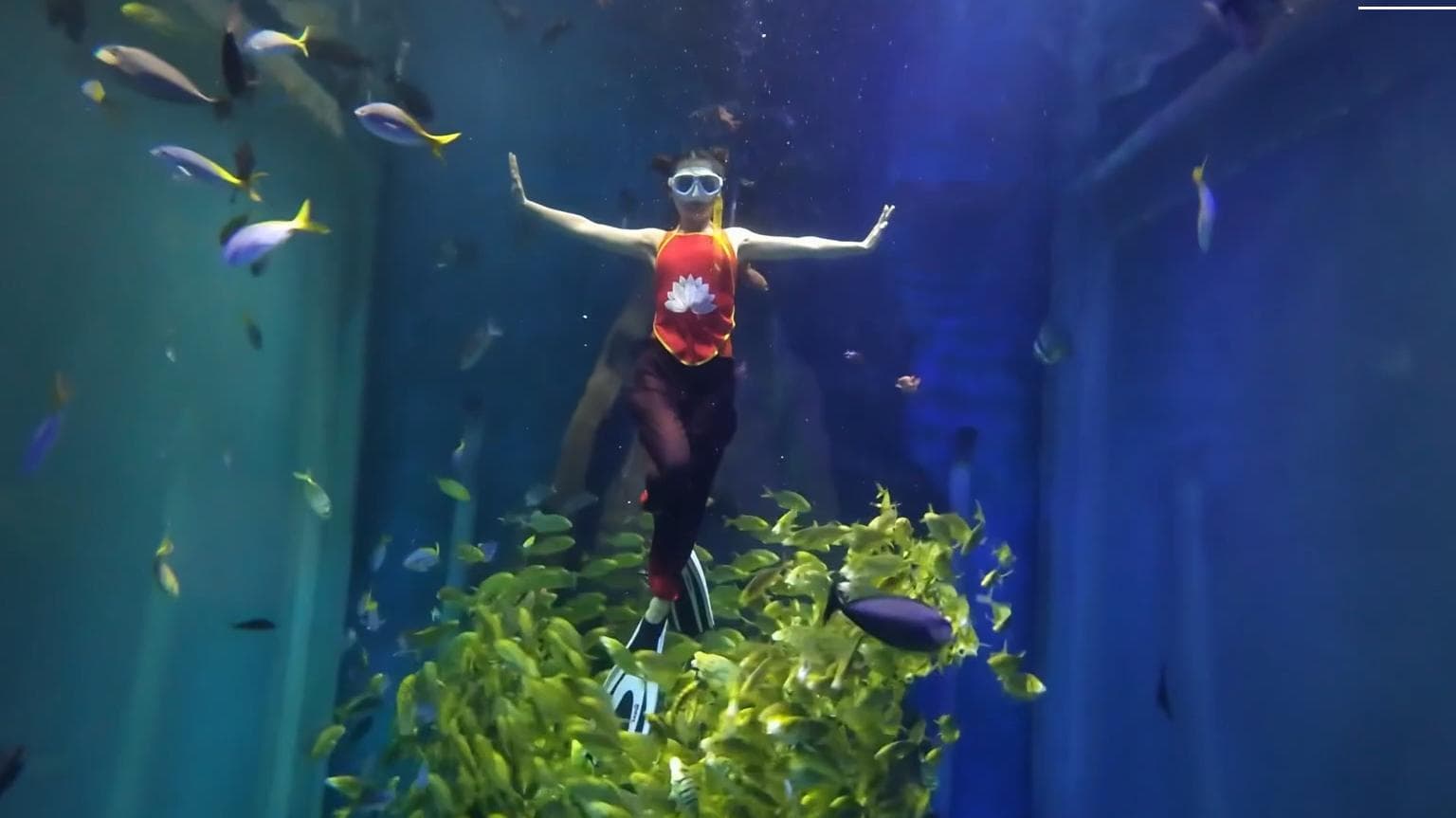 นักแสดงใต้น้ำจีนสวมชุดตัวละคร 'นาจา 2' ร่ายรำกับฝูงปลา
