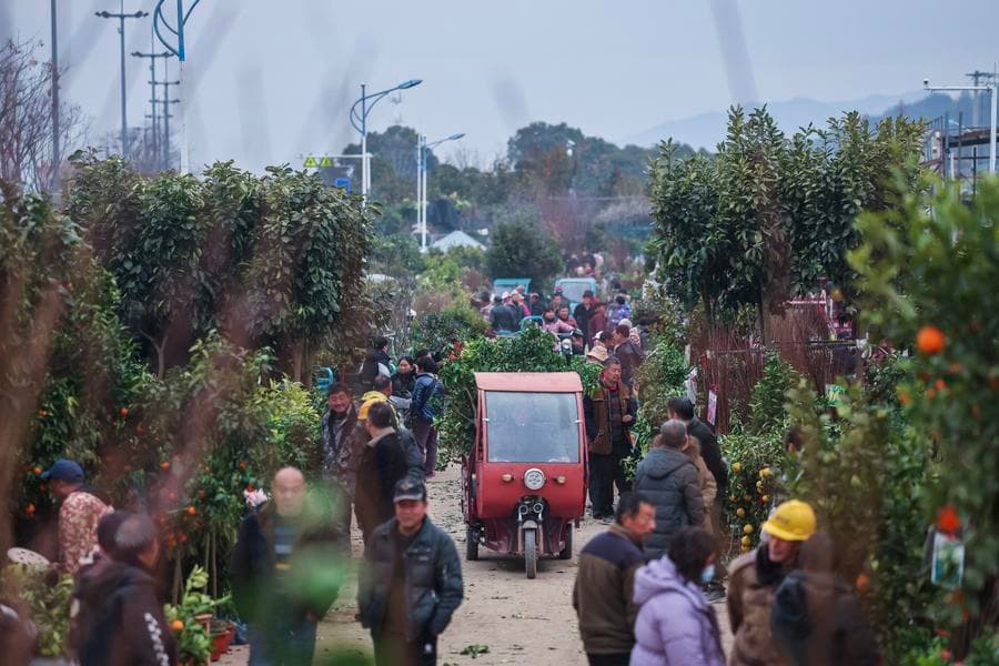 ส่อง 'ตลาดต้นกล้าหลี่ผู่' ในเจ้อเจียง ซื้อขายคึกคัก