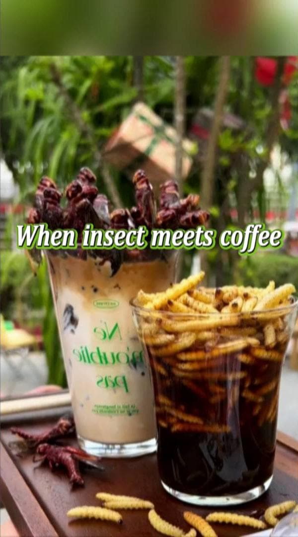 กล้าดื่มไหม! ยูนนานเสิร์ฟ 'กาแฟแมลง' ผสานรสเข้มกับโปรตีนจากธรรมชาติ