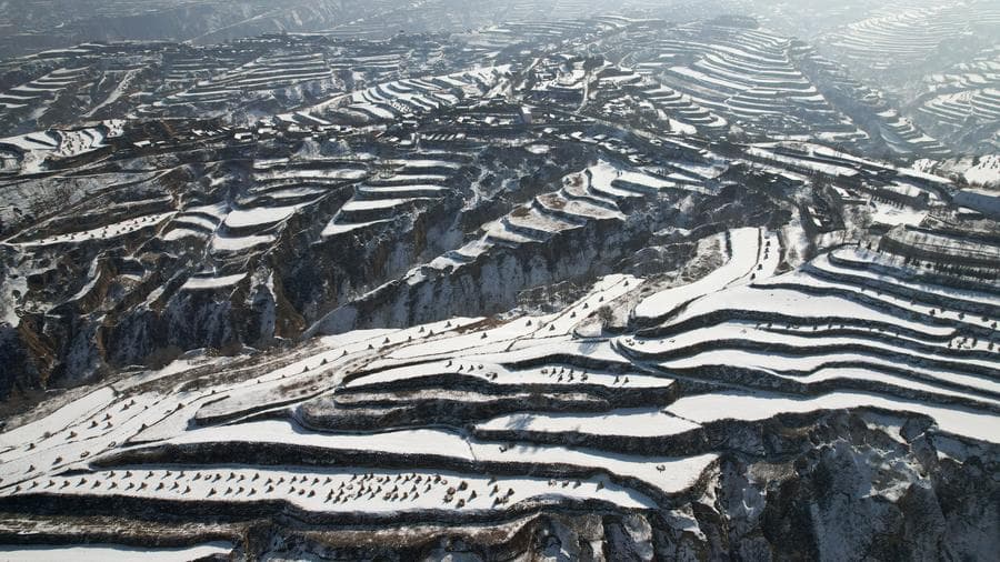 รอยนิ้วมือยักษ์' จากแปลงปลูกขั้นบันไดห่มหิมะในกานซู่