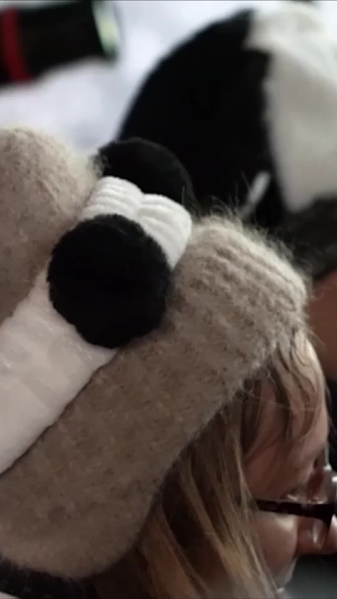 สวนสัตว์มอสโกจัด 'ปาร์ตี้แพนด้า' รับตรุษจีน