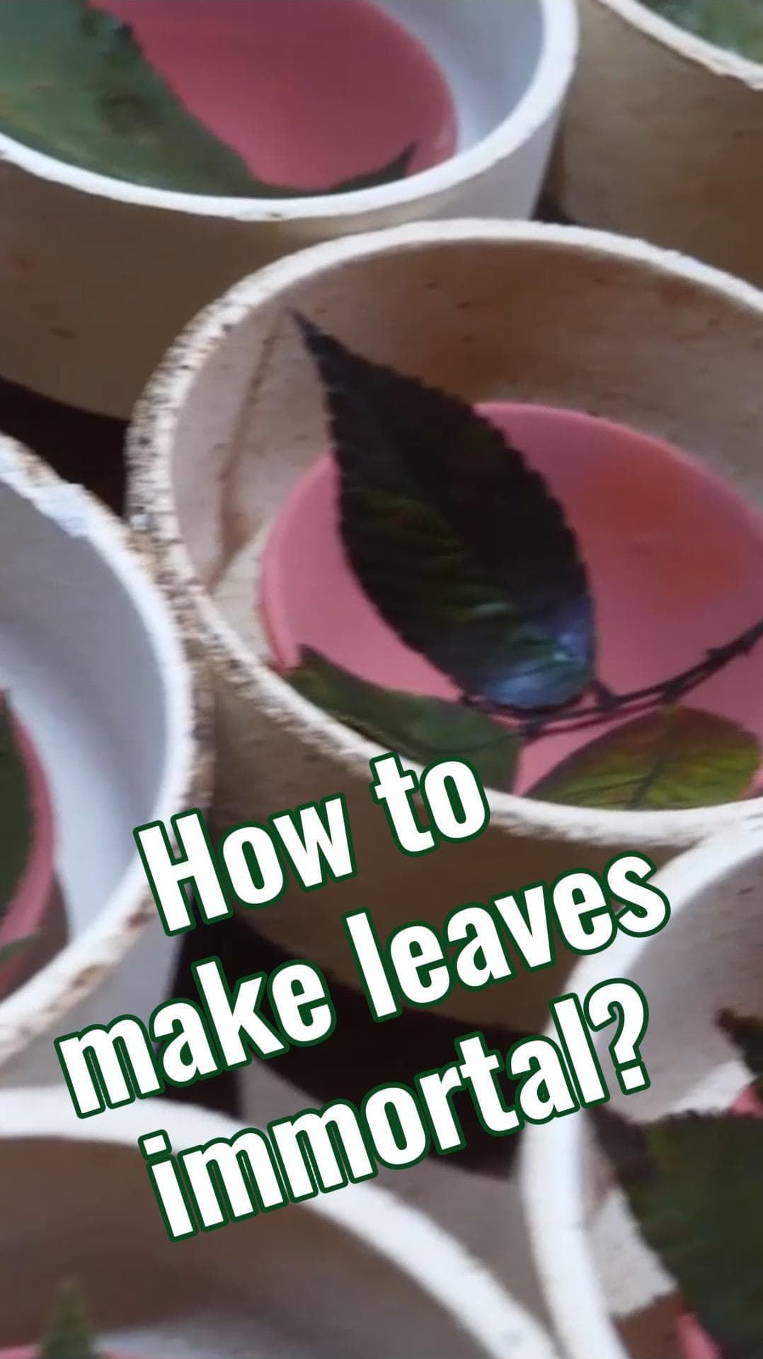 มนต์เสน่ห์เฉพาะตัว 'ถ้วยลายใบไม้' งานฝีมือดั้งเดิมในจี๋อัน