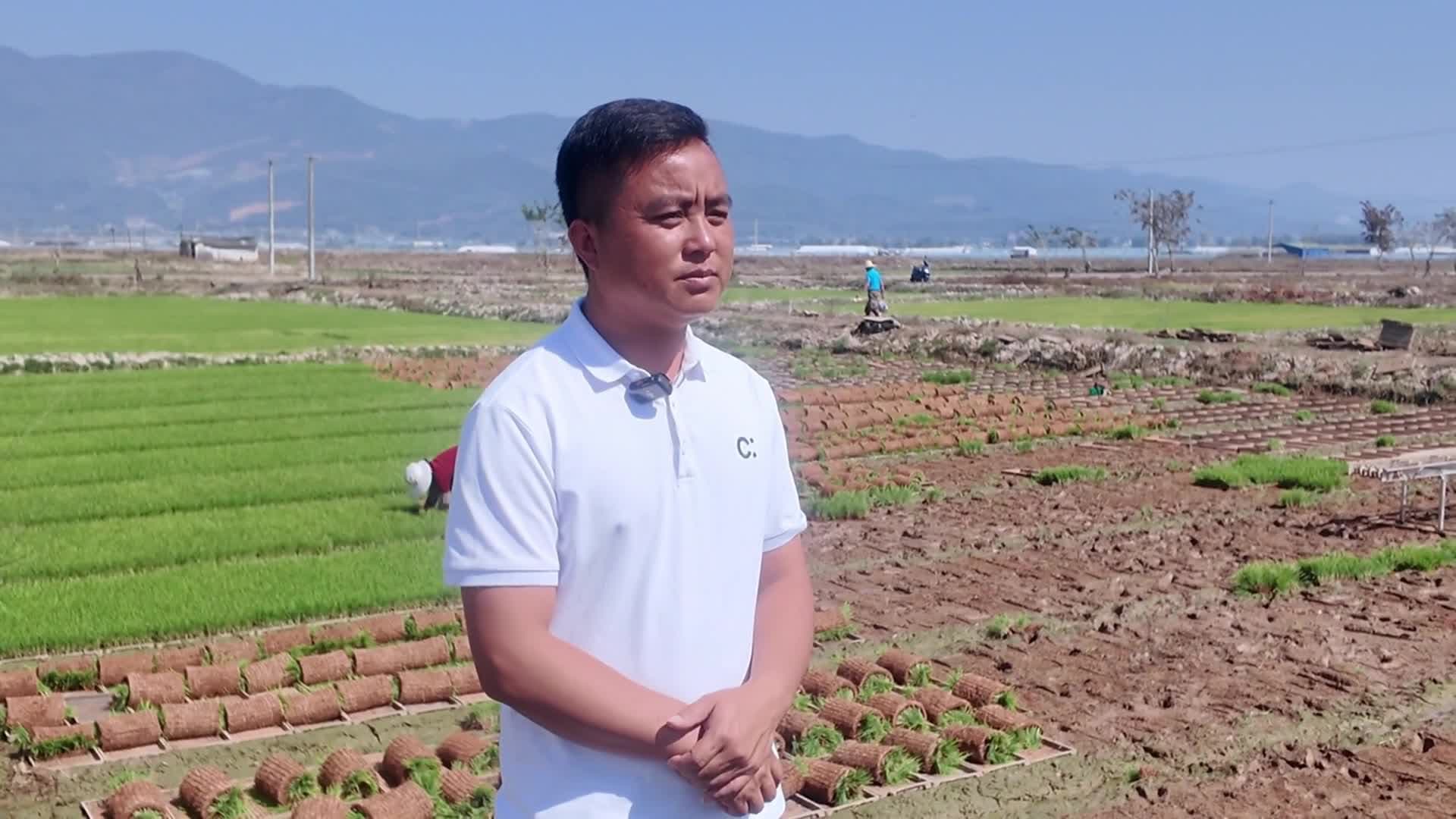 เทคโนโลยีสมัยใหม่ช่วย 'ปลูกข้าว' ว่องไวในสิบสองปันนา