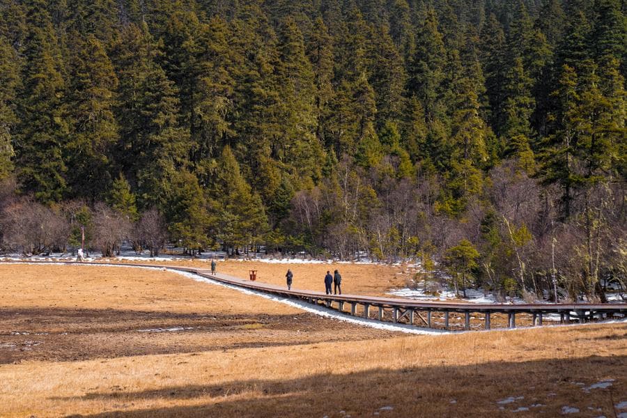 ชมธรรมชาติ 'อุทยานผู่ต๋าชั่ว' วันฟ้าใสในยูนนาน