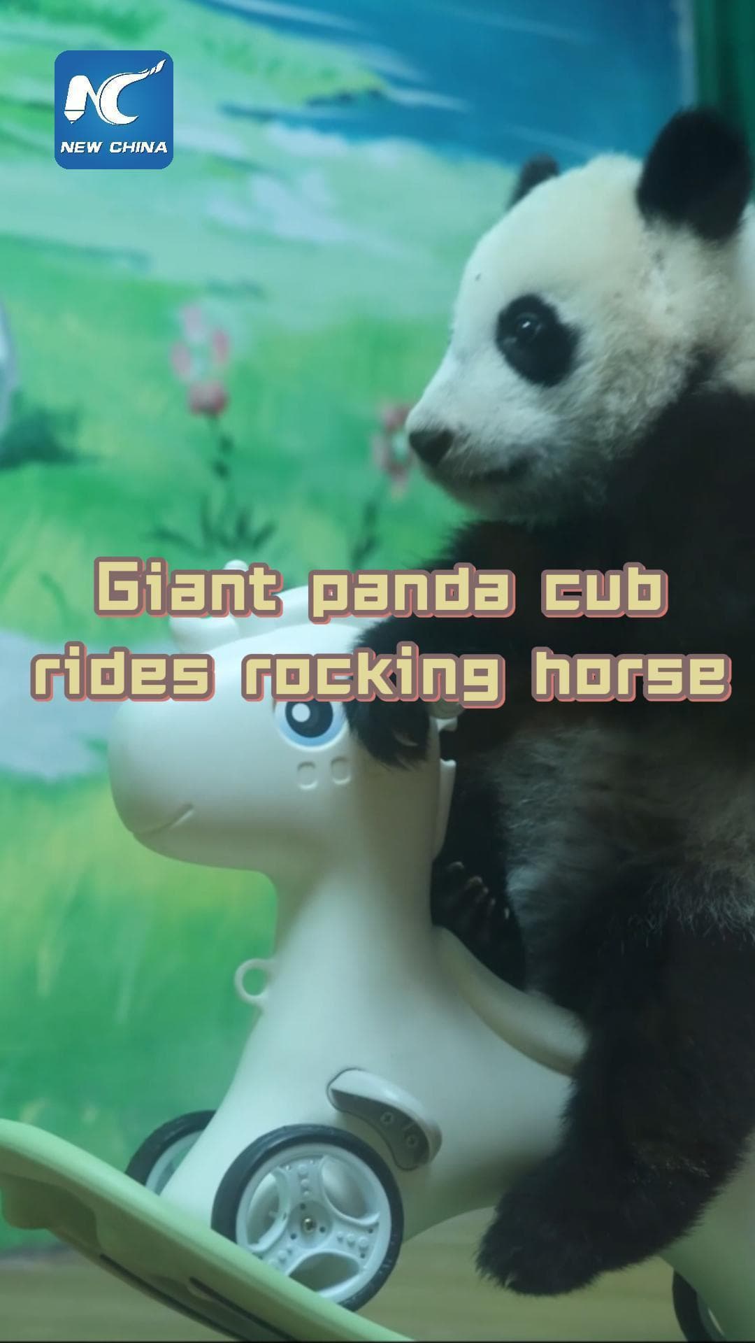 สาวน้อยแพนด้า 'เม่ยจู' เล่นขี่ม้าโยกเยกสุดฟิน