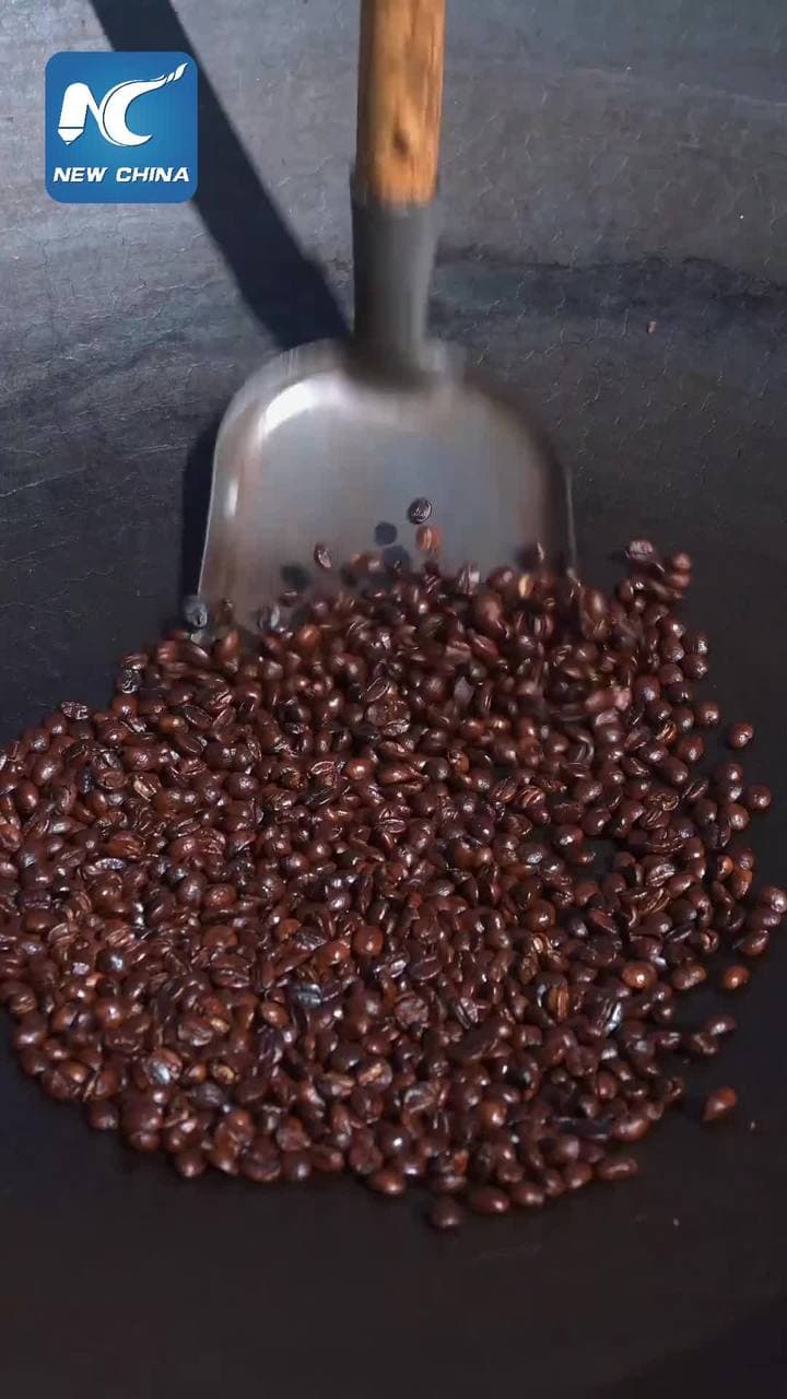 กรรมวิธีผลิต 'กาแฟยูนนาน' เทคนิคปลูกเฉพาะตัว