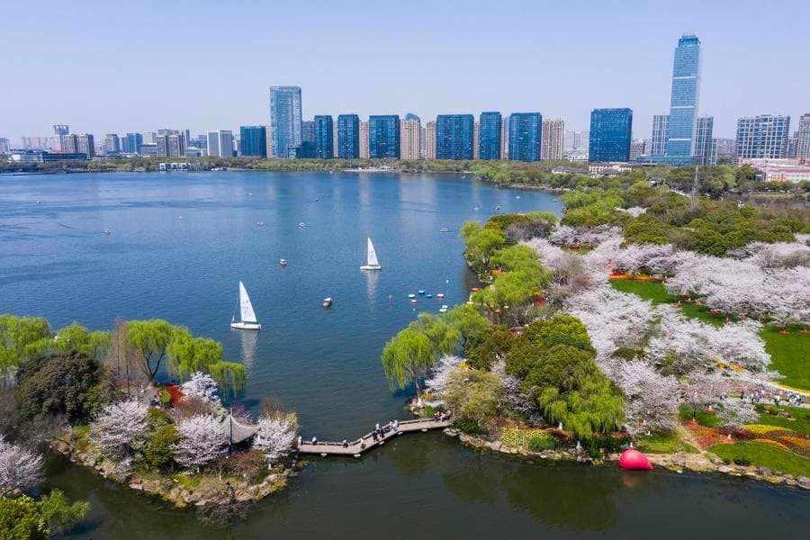 นทท.ชมมวลหมู่ 'ดอกไม้' บานสะพรั่งริมทะเลสาบในเจ้อเจียง