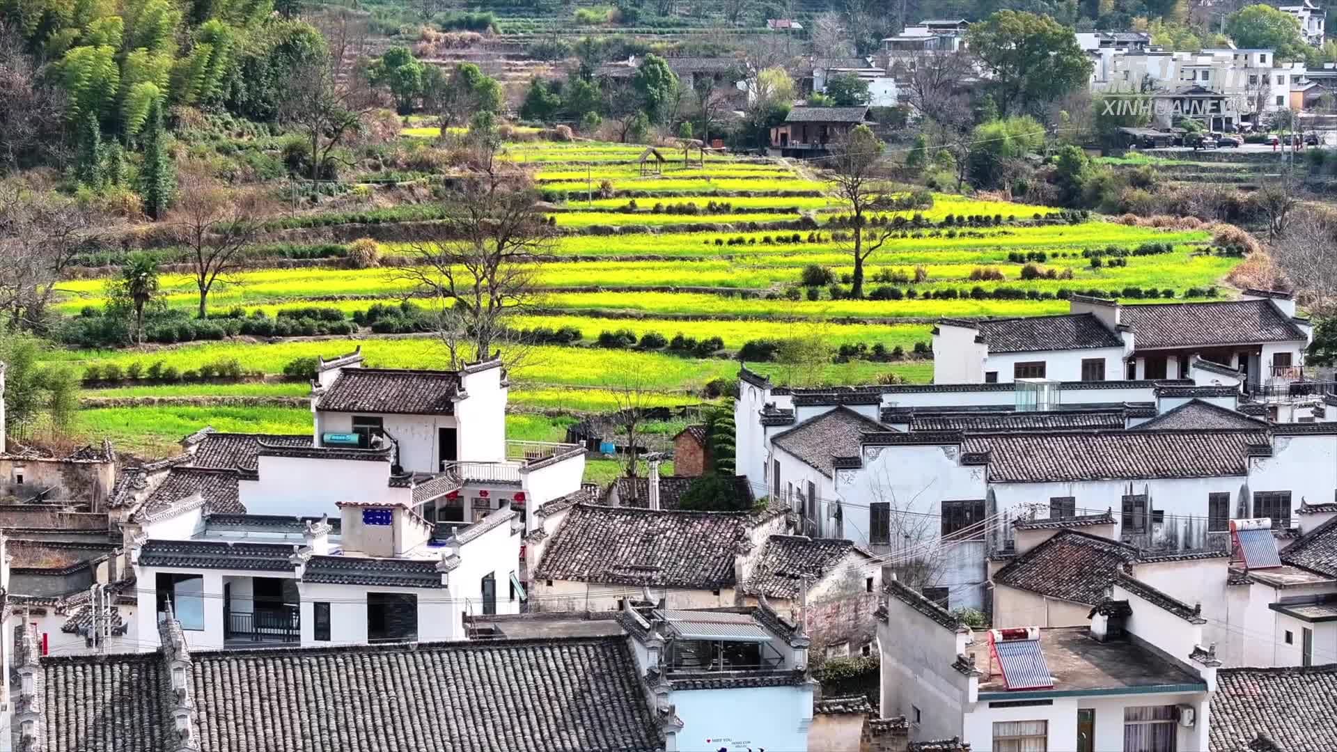 ทุ่งดอกผักกาด บ้านเรือนสไตล์ฮุย วิวชนบทงามตาในอันฮุย