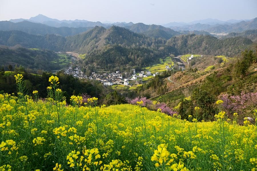 ดอกไม้บานสะพรั่ง พืชพรรณเขียวขจี แต้มทิวทัศน์งามในอันฮุย