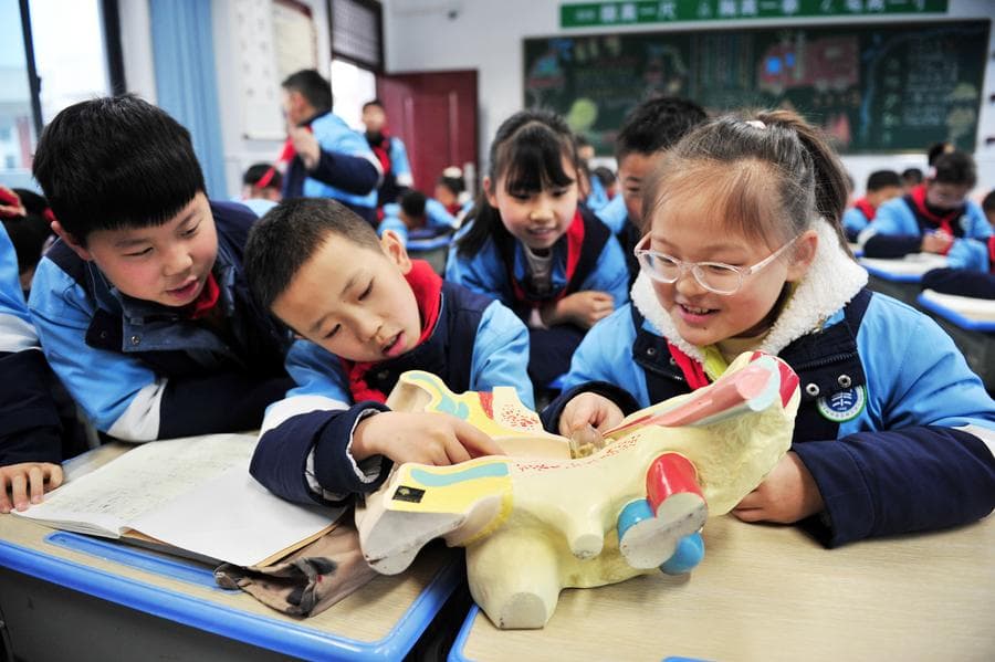 โรงเรียนในจีนจัดกิจกรรม 'วันรักหู' สร้างนิสัยดูแลตั้งแต่เด็ก