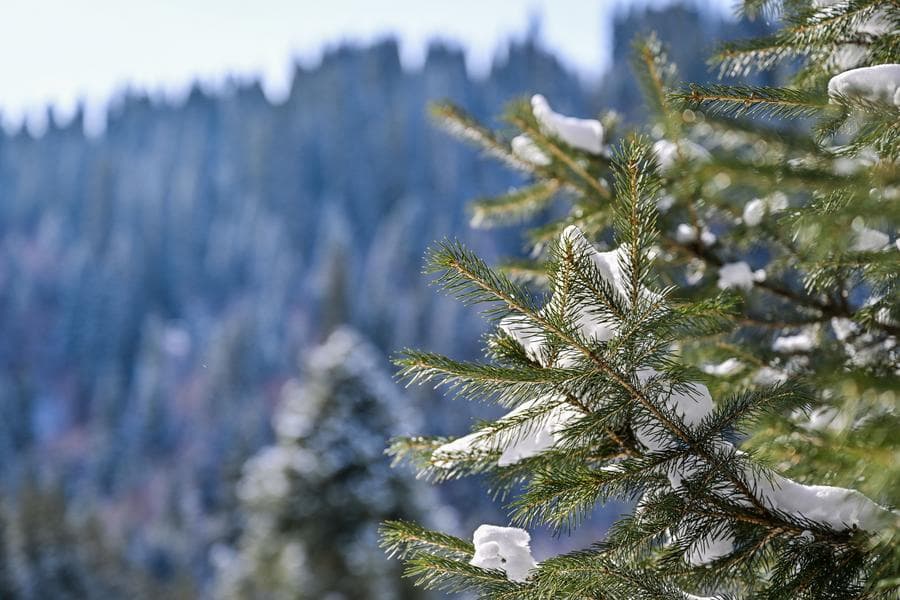 รีสอร์ตท่องเที่ยว 'น่าลาถี' ห่มหิมะขาวในซินเจียง