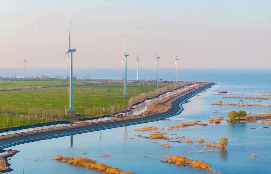 กังหันลมยืนเด่นริมน้ำ อาบแสงสุดท้ายในเจียงซู