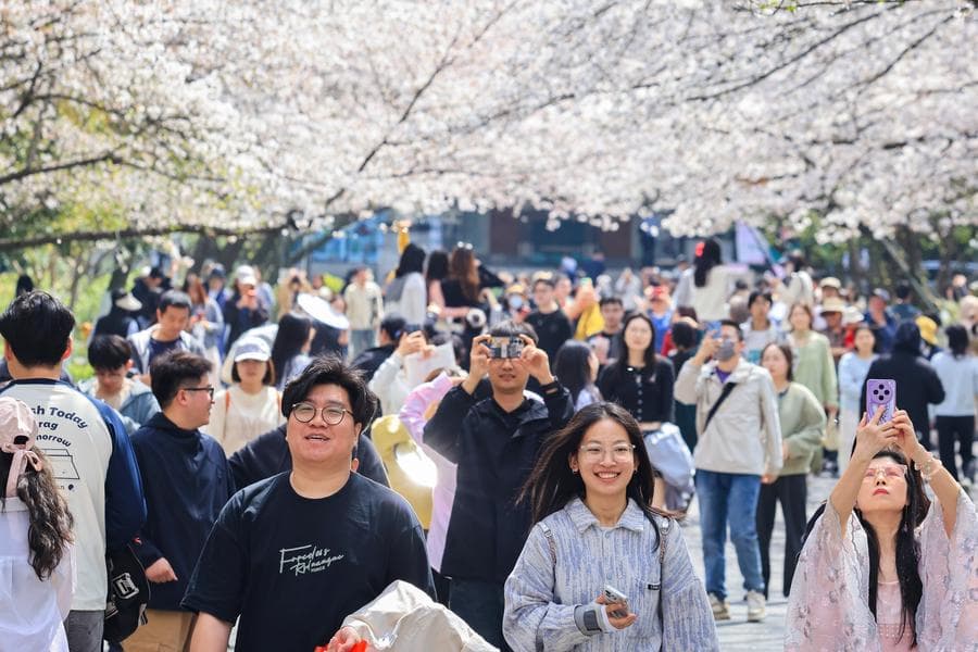 นทท.แห่ชมทิวทัศน์ยามวสันต์ สุดสดใสในหลายพื้นที่ทั่วจีน