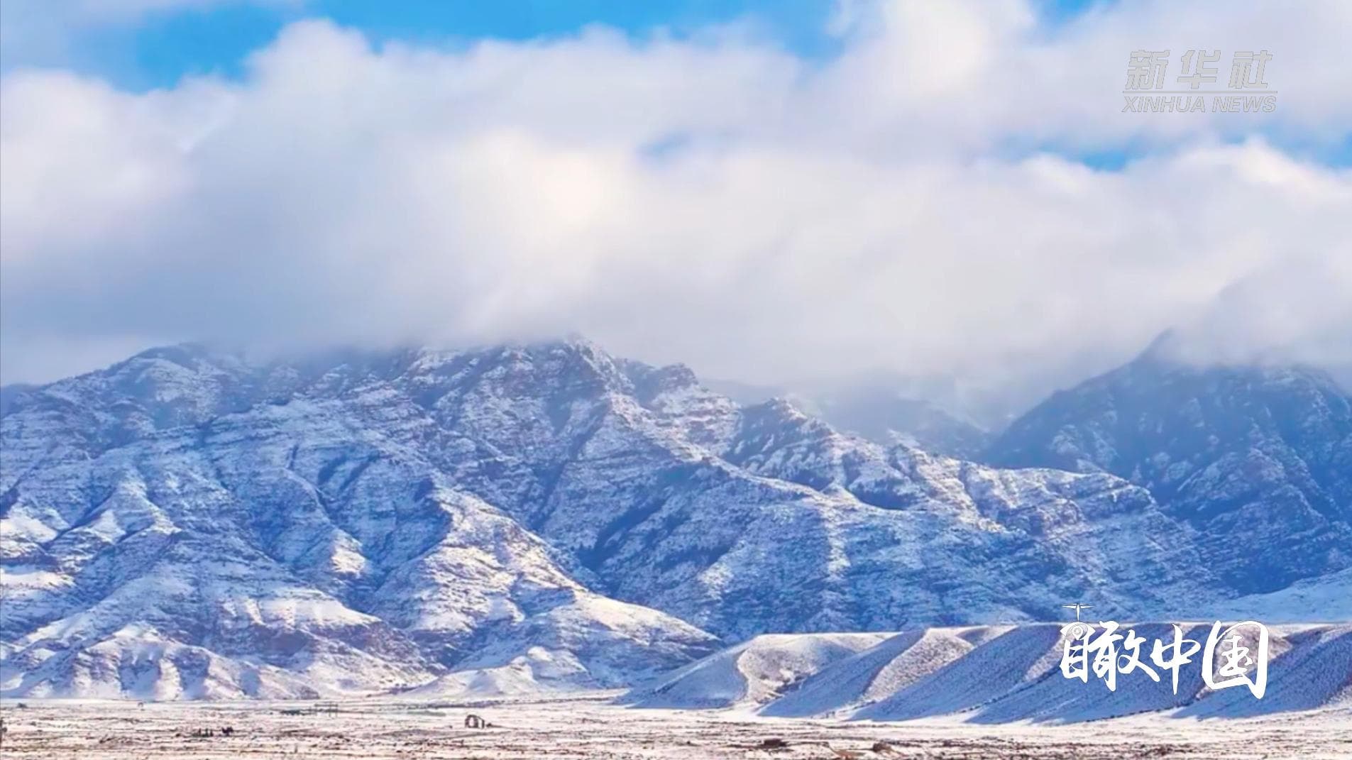 กวางป่า' ใช้ชีวิตกลางเขาหิมะในมองโกเลียใน