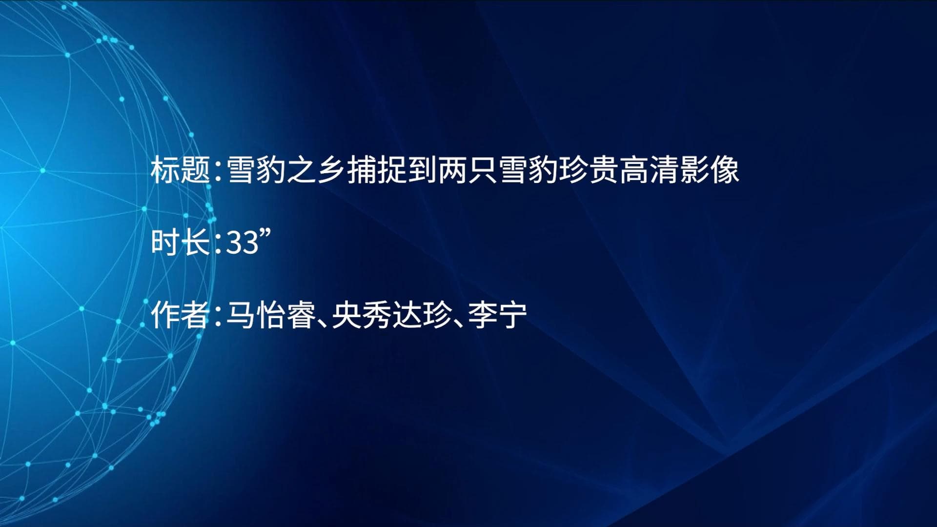 สุดล้ำค่า! โดรนบินเก็บภาพ 'เสือดาวหิมะ' ระยะประชิดในชิงไห่