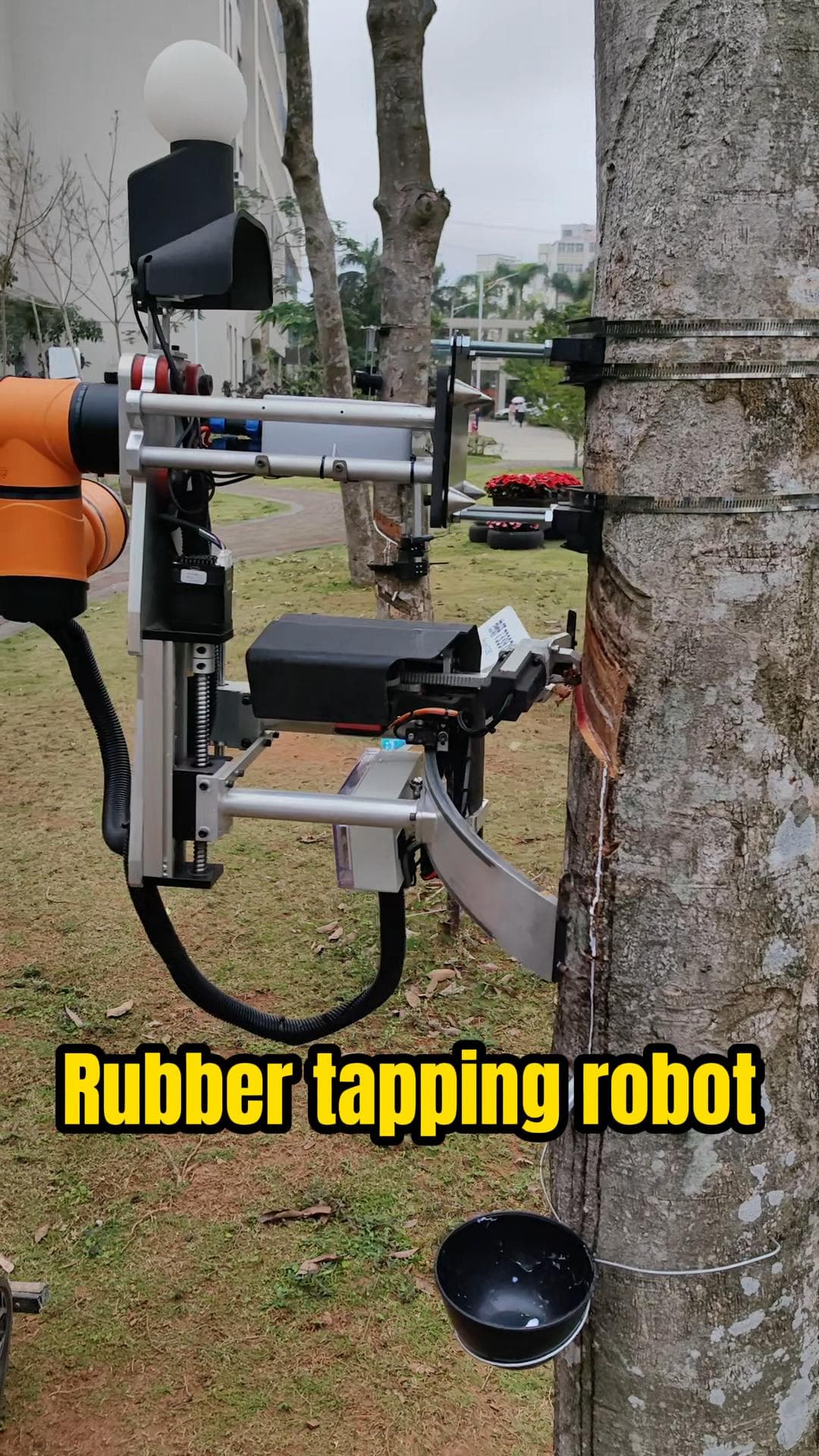 นักวิทย์จีนพัฒนา 'หุ่นยนต์กรีดยาง' ประหยัดแรงคน-ลดภาระงาน