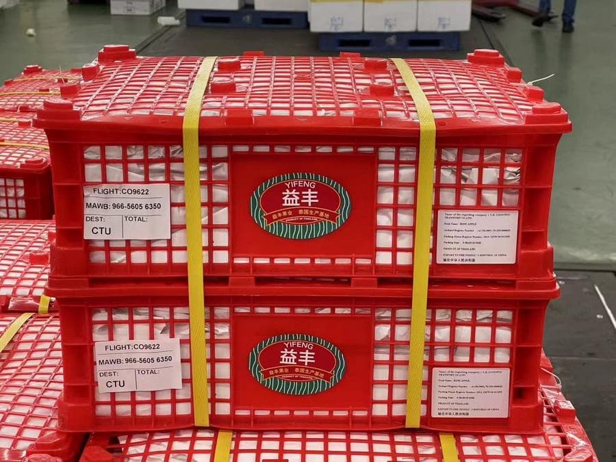 ชมพู่แก้มแหม่มจากไทย บินลัดฟ้าส่งถึง 'เฉิงตู' ในเวลาไม่ถึง 38 ชม.