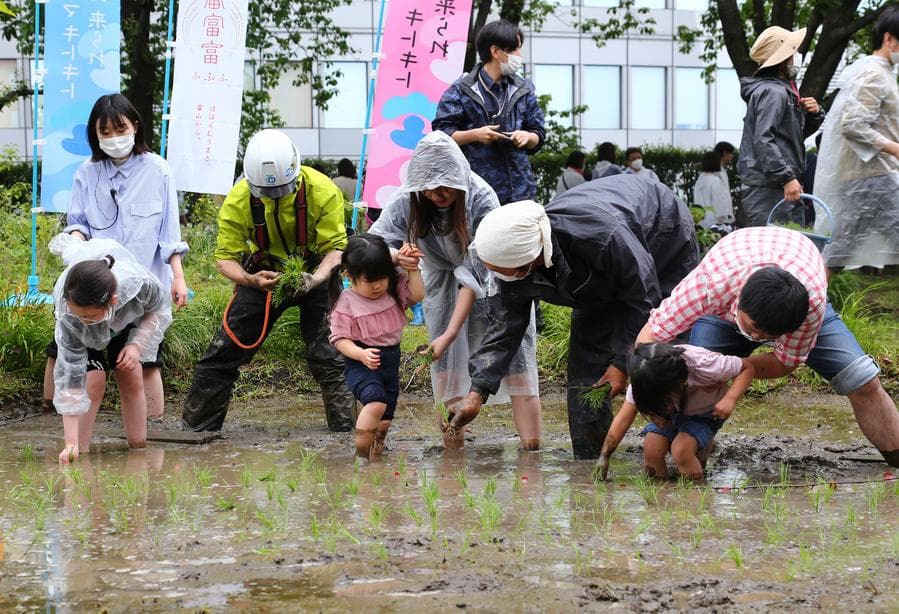 ราคา 'ข้าว' ในญี่ปุ่น ปรับขึ้นต่อเนื่อง 10 สัปดาห์