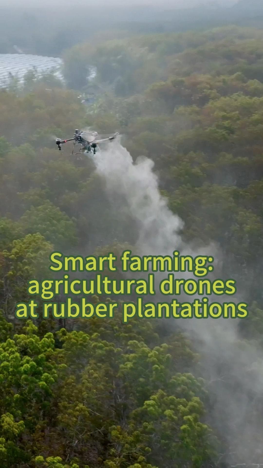 โดรนเกษตร' บินรอบสวนยางพารา ช่วยงานขันแข็งในยูนนาน