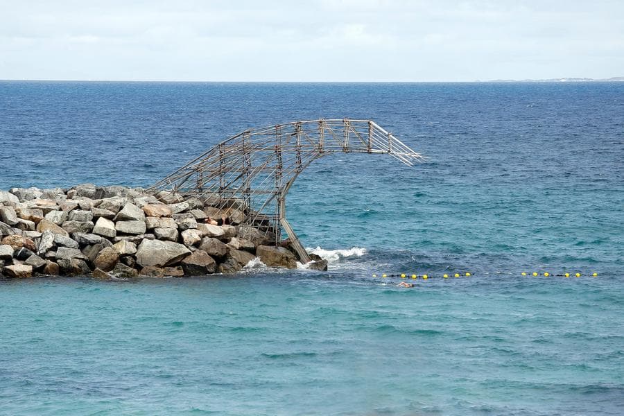 ออสซี่พบ 'ฟอสซิลปลา' เก่า 15 ล้านปี พร้อม 'ซากอาหาร' ในกระเพาะ