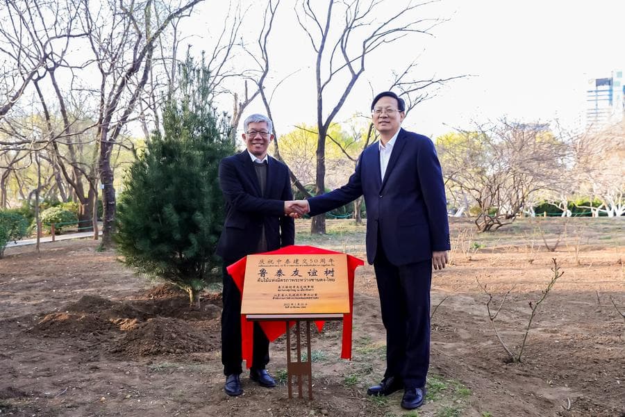 ซานตง-ไทย' จับมือปลูกต้นไม้มิตรภาพ หนุน 'จีนไทยใช่อื่นไกล พี่น้องกัน