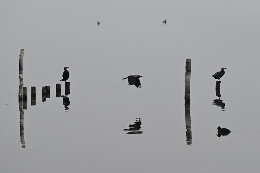 ฉากธรรมชาติ 'ทะเลสาบดอจรัน' สะท้อนความงามเงียบสงบ