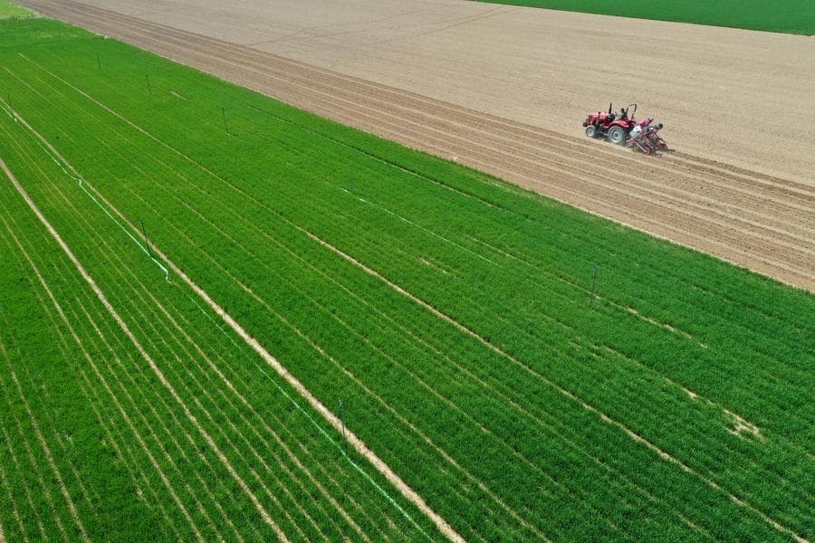 เกษตรกรทั่วจีนลุยงานเพาะปลูกรับวันชุนเฟิน