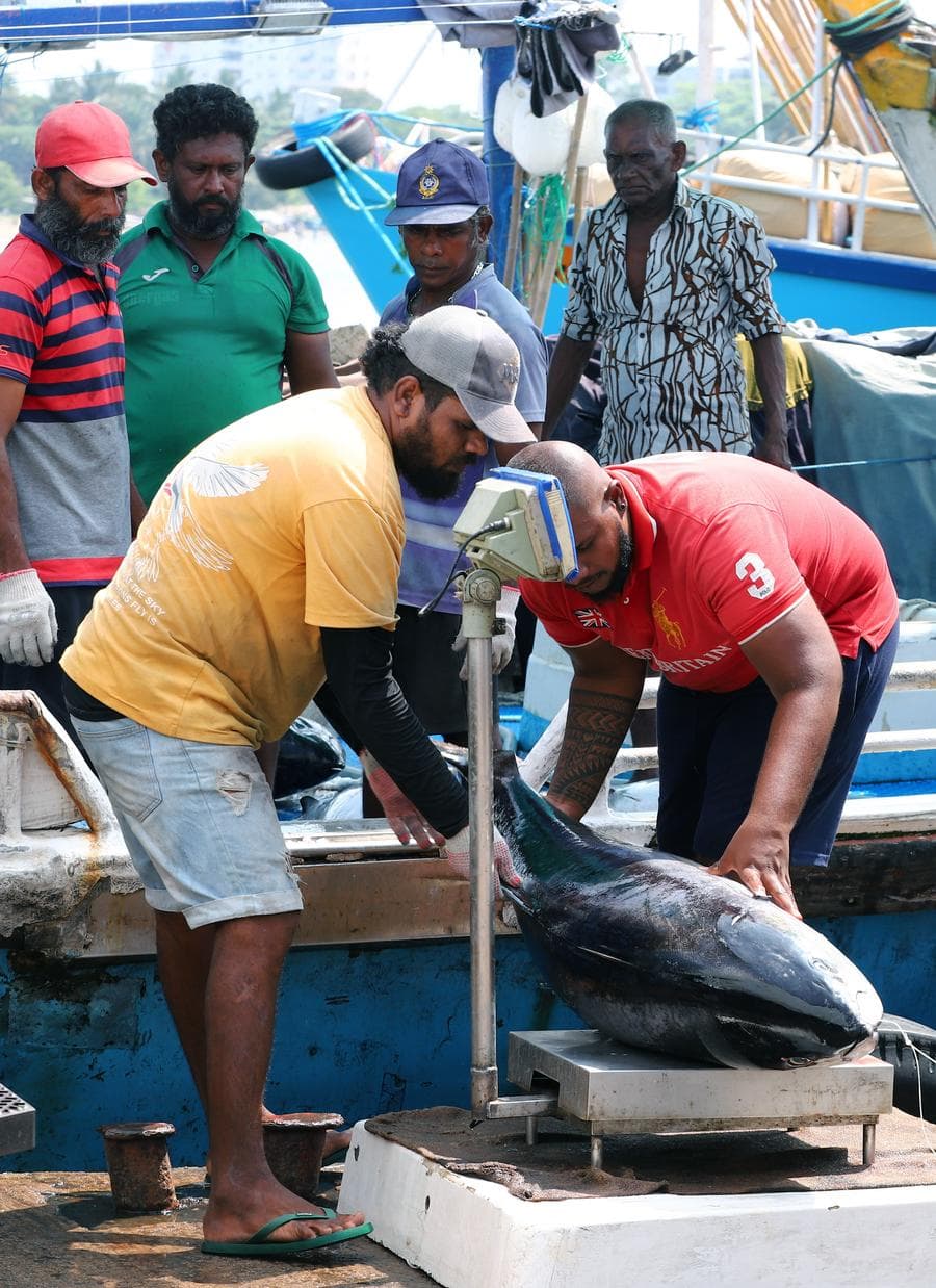 สัมผัสวิถีชีวิต 'ชาวประมง' ดั้งเดิมหลายร้อยปีในศรีลังกา