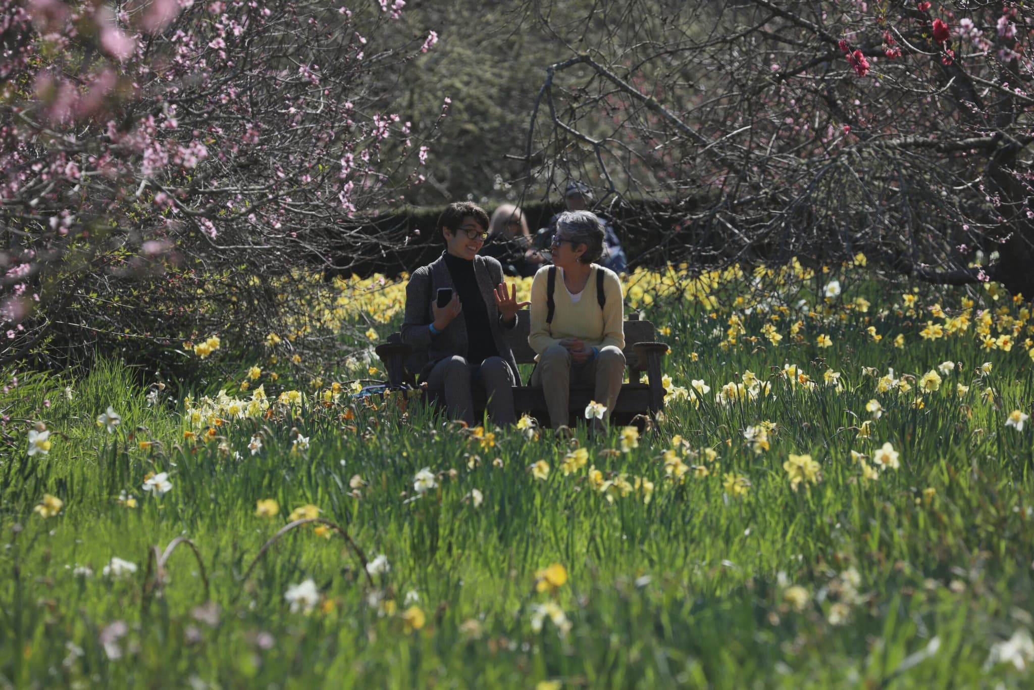 กลิ่นอายฤดูใบไม้ผลิที่ 'คฤหาสน์ชนบท' ในแคลิฟอร์เนีย