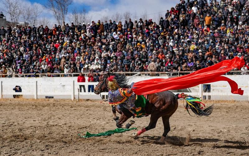สารพัดโชว์ 'ขี่ม้า' เร้าใจ สีสันฉลองปีใหม่ทิเบต