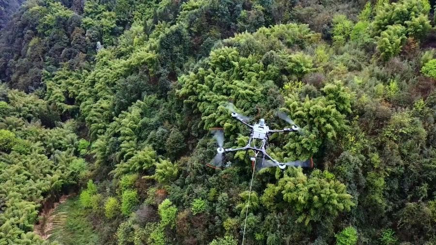 ไม้ไผ่ลอยฟ้า! เกษตรกรยูนนานใช้ 'โดรน' ทุ่นแรง ลำเลียงไม้ไผ่ลงจากภูเขา