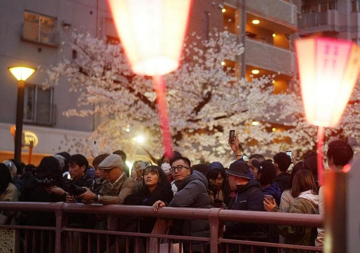 ญี่ปุ่นรวบ 111 ราย เอี่ยว 'แสวงหาประโยชน์ทางเพศจากเด็ก' ทางออนไลน์